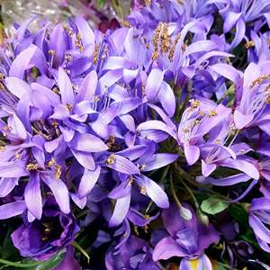 artificial ble flowers