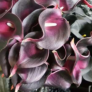 Artificial calla lily