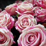 Fake roses