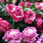 fake pink flowers