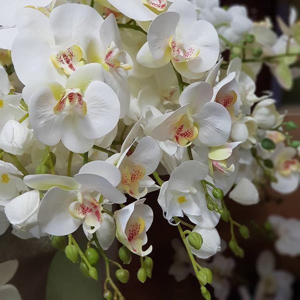 artificial orchids