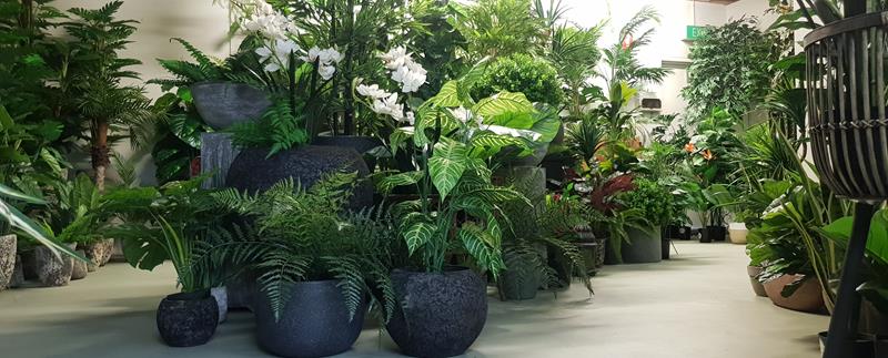 Plastic plants melbourne