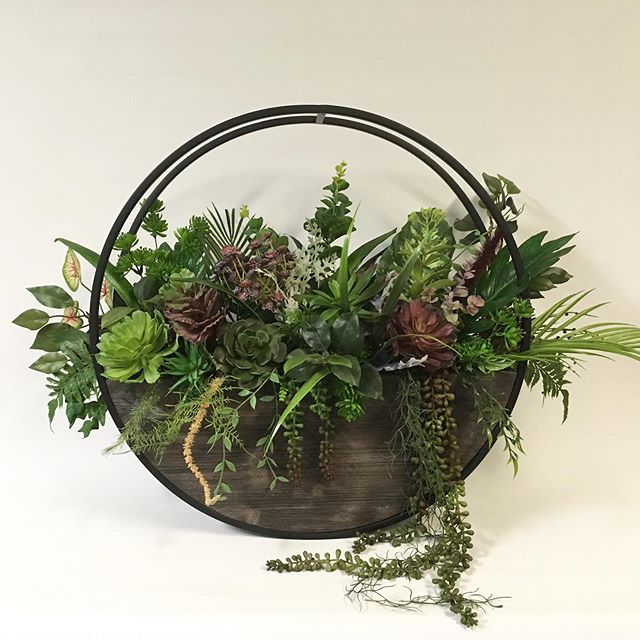 Round planter with hanging suculents