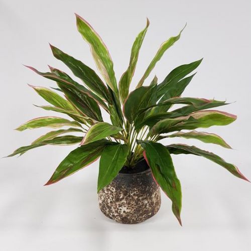 Artificial Cordyline Plant Pink 40cm