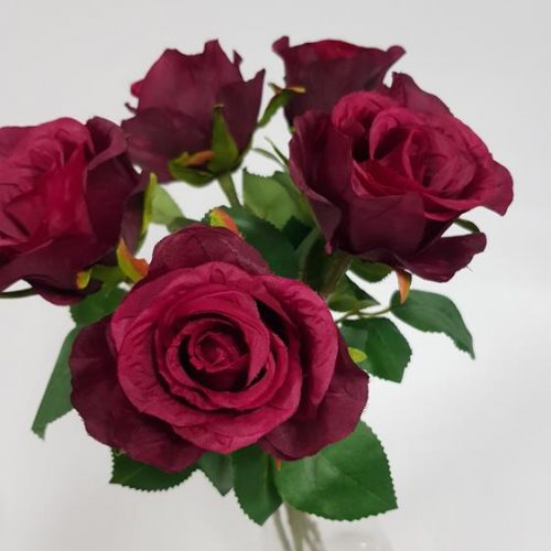 Rose Soft Touch Burgundy