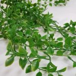 artificial mini philodendron hanging bush for sale