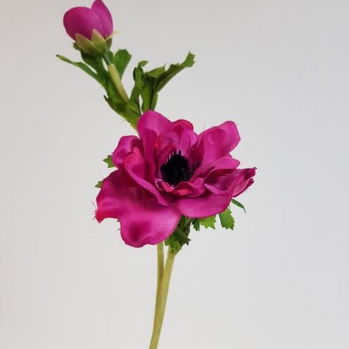 Anemone Pick Pink