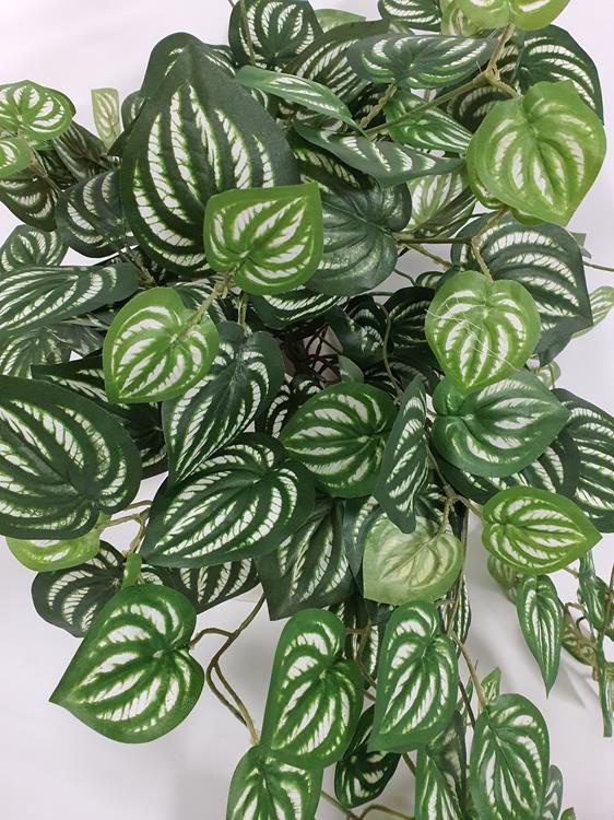 Artificial Peperomia Hanging Bush - Image 2