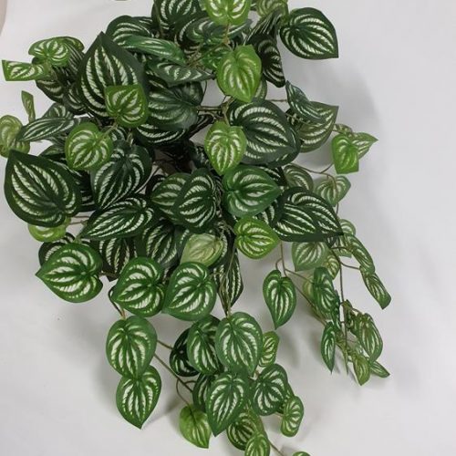 Artificial Peperomia Hanging Bush