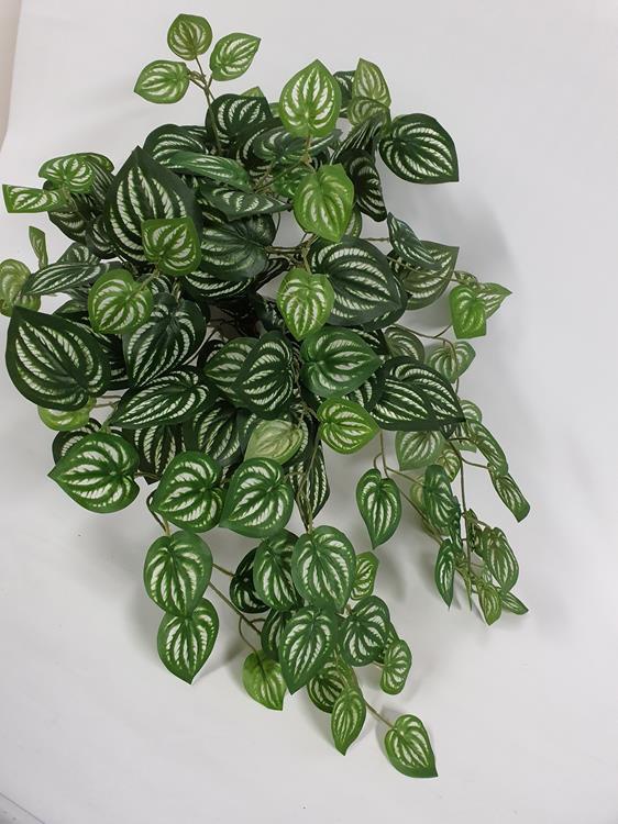 Artificial Peperomia Hanging Bush