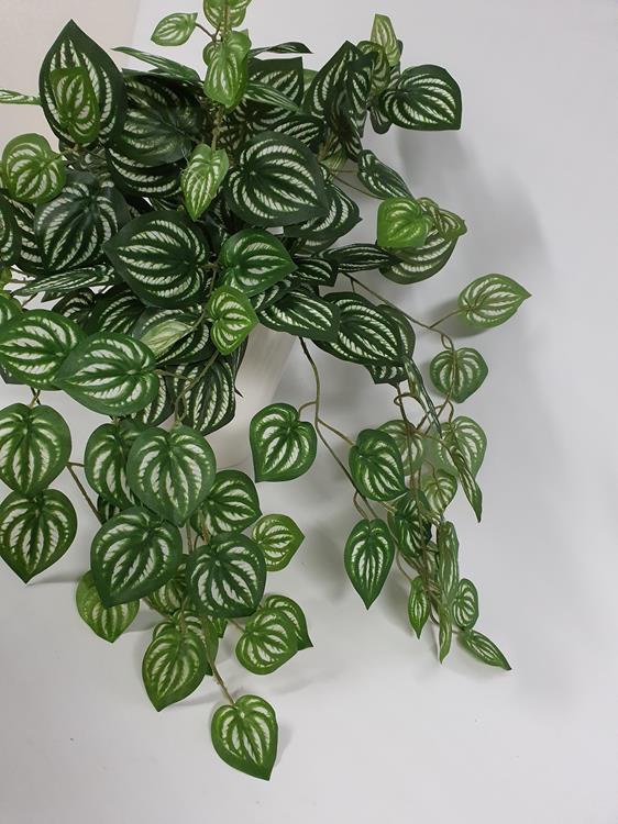 Artificial Peperomia Hanging Bush - Image 3