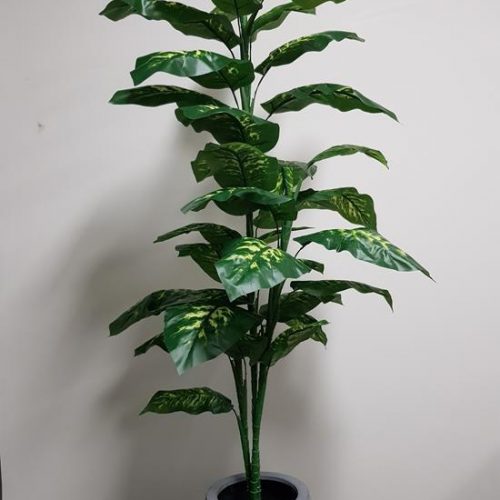 Artificial Variegated Dieffenbachia Plant 150cm