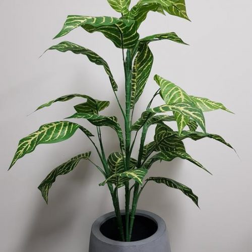 Artificial Zebra Plant Small 90cm