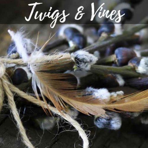 Twigs Vines and Moss