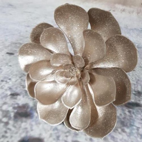 Gold Christmas Echeveria Succulent 21cm