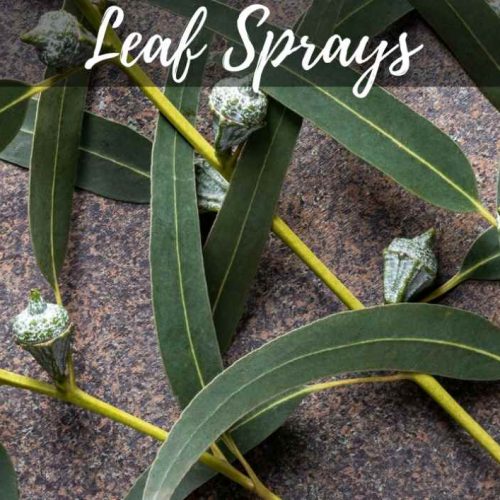 Leaf Spray