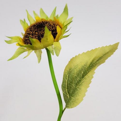 Sunflower Bud Single Stem