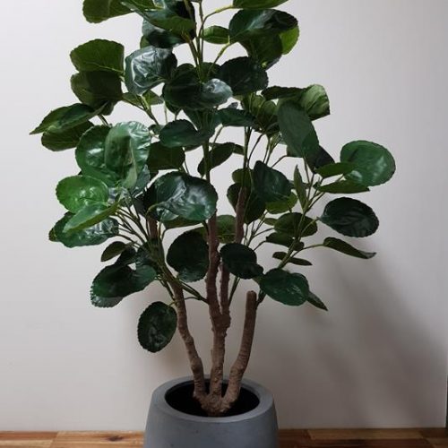 Artificial Aralia Tree 95cm