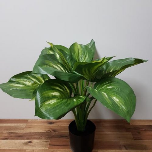 Artificial Hosta Plant 50cm