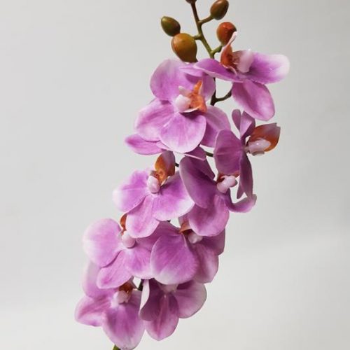 Artificial Phalaenopsis Orchid Purple 56cm