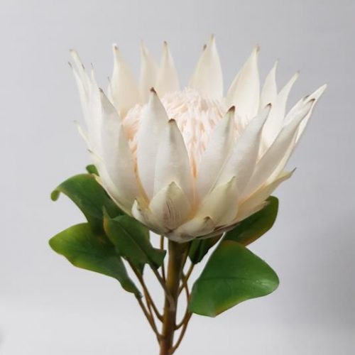 Artificial King Protea Cream 73cm