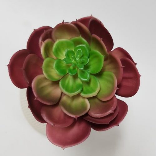 Artificial Succulent Aeonium Red 17cm
