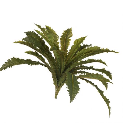 Artificial Asplenium Fern 68cm