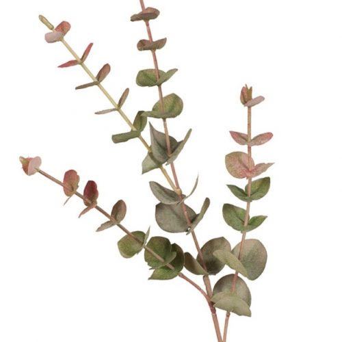 Mini Eucalyptus Spray Grey Red 60cm