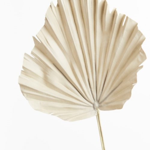 Artificial Dry Look Fan Palm Natural 56cm