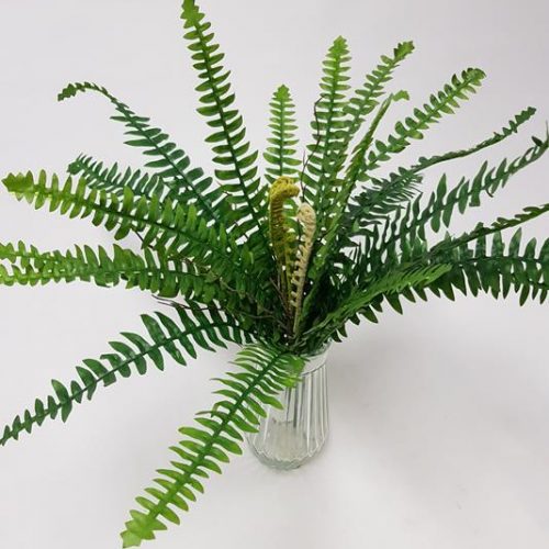 Boston Ruffle Fern 58cm