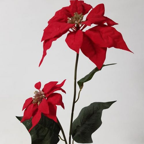 Poinsettia Stem Red 55cm