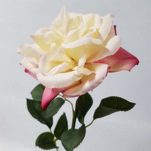 Artificial Garden Rose Cream Pink 36cm