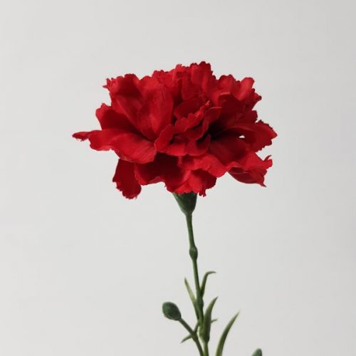 Artificial Carnation Red 61cm