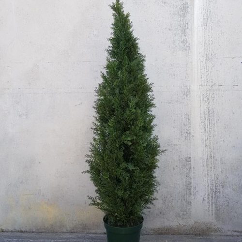 Artificial Cedar Tree 150cm