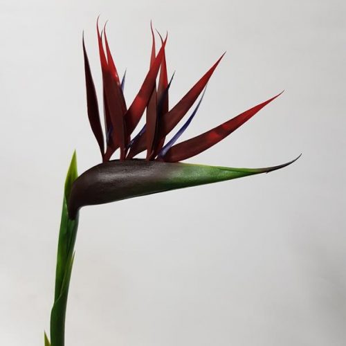 Artificial Bird of Paradise Red 85cm