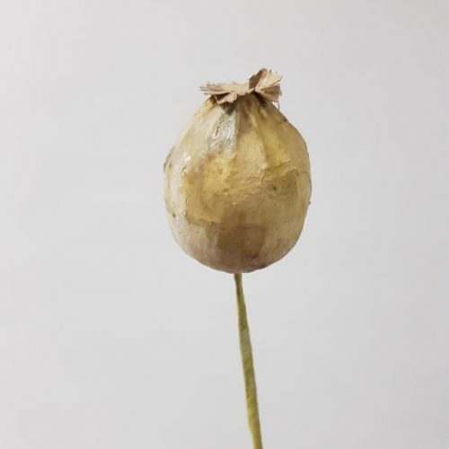 Artificial Poppy Pod 54cm