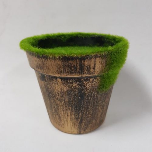 DIY Ready Made Pot Gold Moss Small