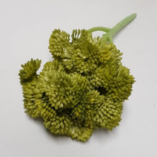 Sedum Succulent Pick Green 20cm