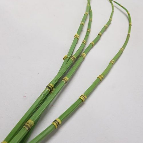 Artificial Bamboo Shoot 120cm