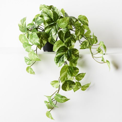 Artificial Pothos Hanging Plant 64cm