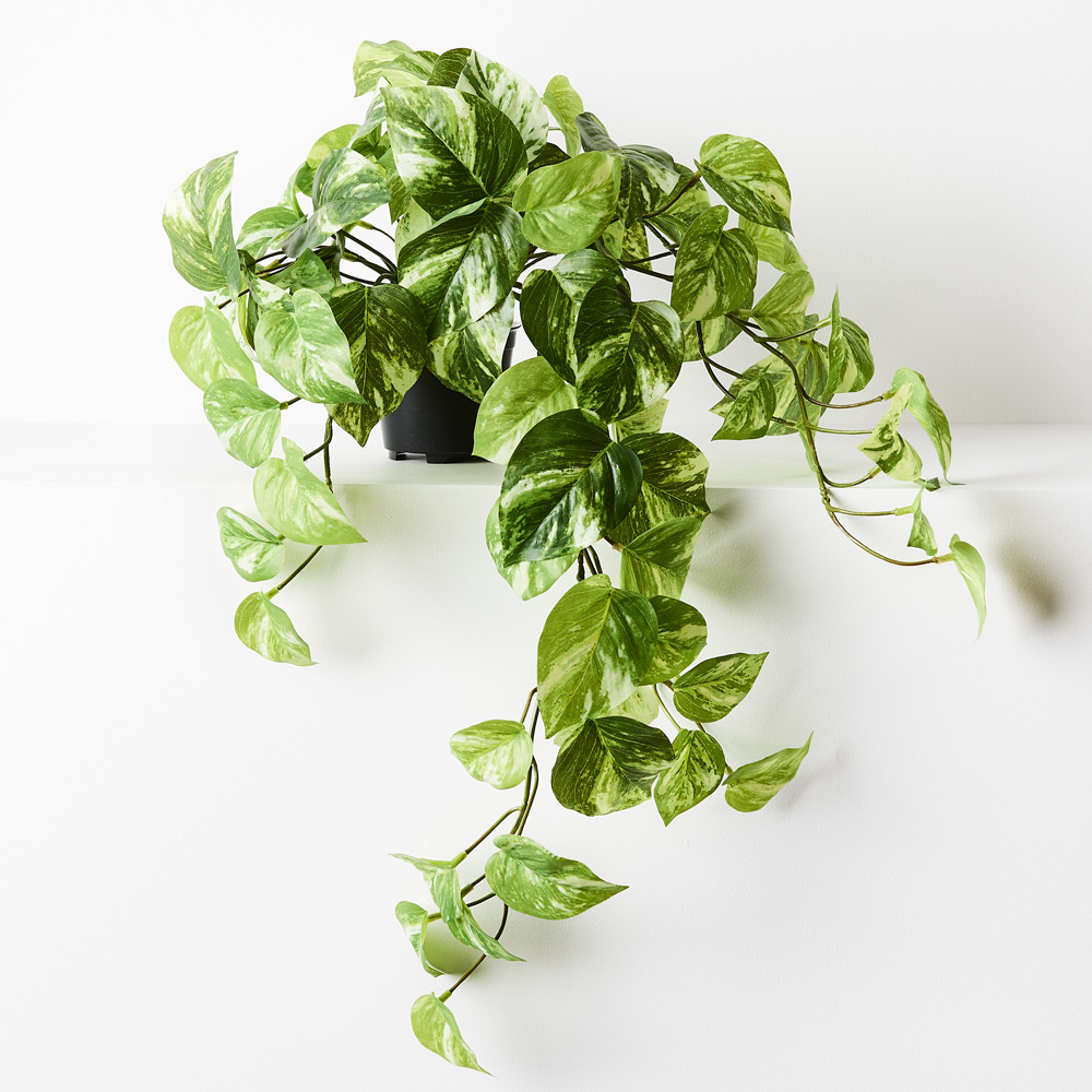 Artificial Pothos Hanging Plant 64cm