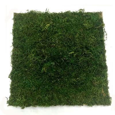 Artificial Moss Mat 28cm