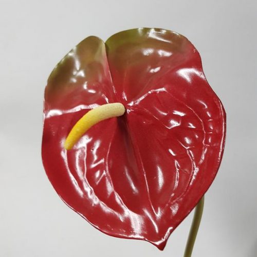 Artificial Anthurium Red 52cm