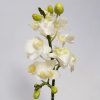 Artificial Dendrobium Orchid White 33cm - Image 2