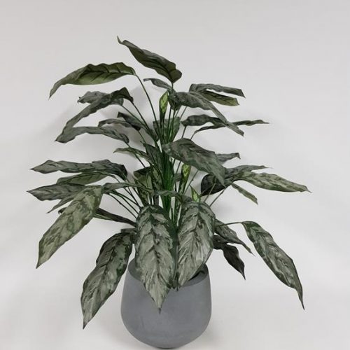 Artificial Silver Queen Plant 86cm