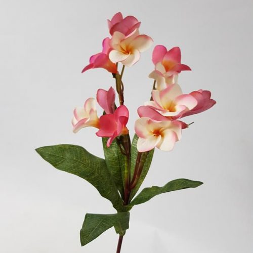 Artificial Frangipani Stem Pink Peach 60cm
