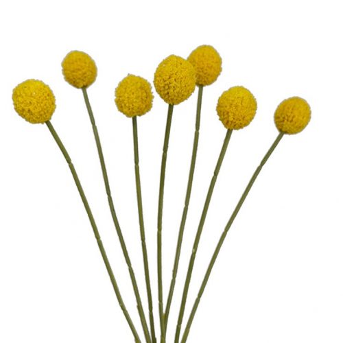 Artificial Billy Buttons Yellow 62cm
