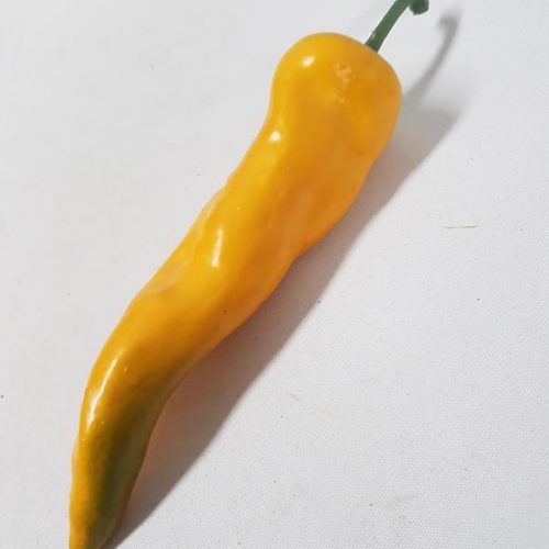Artificial Chilli Yellow