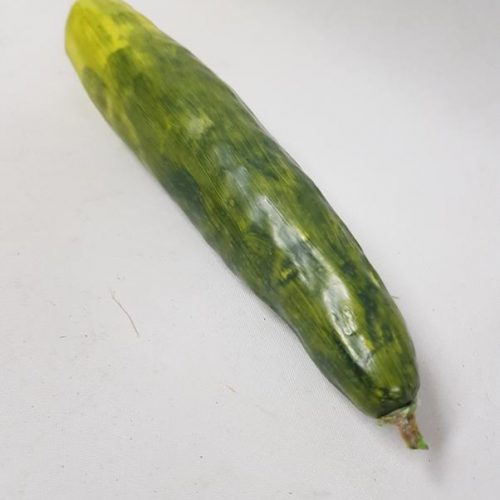 Artificial Cucumber