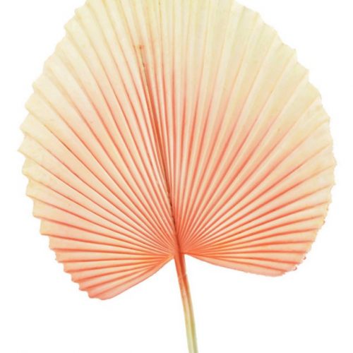 Artificial Fan Palm Pink 72cm